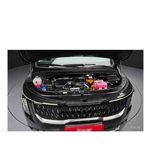 Kia Carnival HEV Signature 9 places 2024 avec sièges en cuir, boîte de vitesses automatique, caméra de recul, 17 412 km, conduite à gauche - Product Image 6