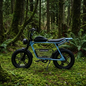<span class=keywords><strong>Vélo</strong></span> <span class=keywords><strong>électrique</strong></span> confortable à pneus larges avec porte-bagages arrière, <span class=keywords><strong>vélo</strong></span> <span class=keywords><strong>électrique</strong></span> pratique pour la conduite urbaine quotidienne - Product Image 3