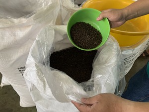 Pimienta negra de grado WS + 84359166896 Fresh Viet Nam Export Ground M48 M60 Standard All Grade MC 5MM Especias y hierbas - Product Image 4