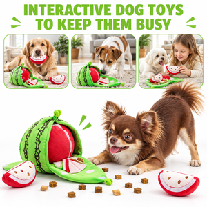 XH Plush <b>Dog</b> Chew <b>Toy</b> Squeaky Pet Teething <b>Toy</b> Soft Filled <b>Interactive</b> Training <b>Toy</b> for Small <b>Dogs</b> - Product Image 1