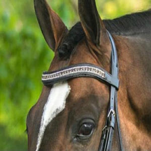 สายรัดหนังมีแถบบรูปแบบคริสตัลทำมือปรับได้,สายรัดหนังมีแถบบลัชออนที่ว่างเปล่าทำจากหนังคริสตัลส่องแสงเป็นประกายวิบวับ - Product Image 4