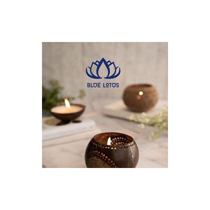 HIGH QUALITY Eco Friendly Coconut Shell Flower Pot Holders for Patio Garden Decoration - Product Image 1