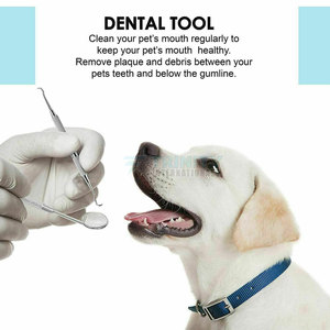 Equipo Profesional Manual para Limpieza y Relleno Dental, Instrumentos Quirúrgicos de Acero Inoxidable, Reutilizables y Ligeros - Product Image 5