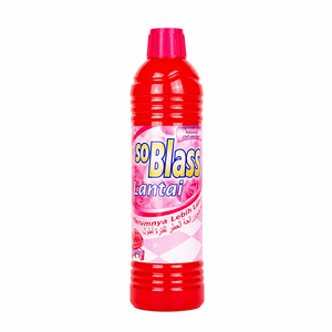 SoBlass Antibacterial Eco-Friendly Water-Based Floor <b>Detergent</b> Liquid 900ml - Product Image 1