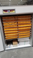 Incubateur d'oeufs de poule électrique 3168 HJ-IH3168
