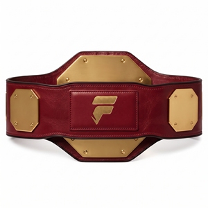 Ceinture de championnat de lutte, boxe et arts martiaux, trophée sportif haut de gamme, plaque métallique de haute qualité, design professionnel - Product Image 5