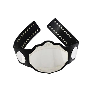 Ceinture de championnat de lutte plaquée argent, logo personnalisé de haute qualité, fournisseur en gros de qualité supérieure, ODM 2026, couleur unique - Product Image 5