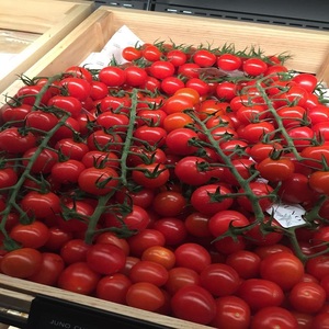 Tomates rouges fraîches de qualité export, légumes frais de ferme de première qualité pour la cuisson, le traitement, la vente en gros, l'approvisionnement en vrac et l'emballage - Product Image 4