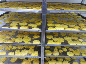 Tranches d'ananas séchées saines DISPONIBLES |   Packs de collations de fruits tropicaux naturels de haute qualité - Product Image 4