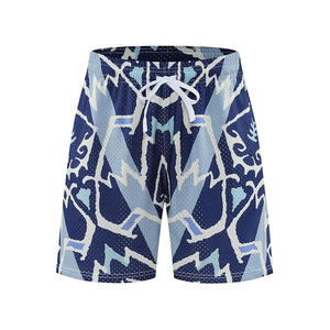 2026 Custom Logo High Street Men's Mesh Sports Shorts Wholesale 100% Polyester Quick Dry Breathable <b>Elastic</b> Waist Pockets Shorts - Product Image 5