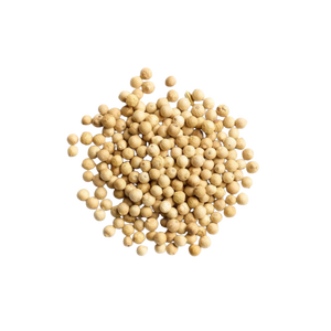 พริกไทยขาวเวียดนาม อบแห้งทั้งเม็ด สมุนไพรและเครื่องเทศสำหรับส่งออก แปรรูปดิบ ร้อนแรง 550 กรัม/ลิตร OEM/ODM สอบถามได้ทุกเกรด ออร์แกนิค - Product Image 1