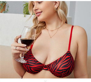 <b>Women's</b> Plus Size 2 Piece Lingerie Set Red Black Zebra Print Push Up Bra and Panty Sexy <b>Underwear</b> - Product Image 6