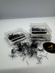 Extensions de cils pré-faits 4D 8D, 500 bouquets, en PBT coréen, faits main, volume, noir mat doux, base pointue, courbure C CC D - Product Image 1