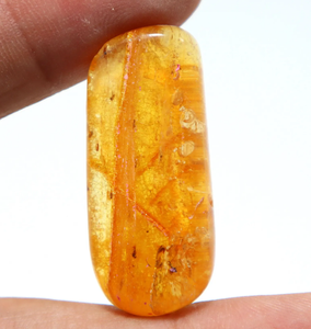 Cabochon lisse en ambre naturel de la Baltique avec insectes inclus, pierre précieuse en ambre en vrac - Product Image 1