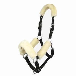 Harnais de cheval réglable en PP avec nezier rembourré doux et boucle en métal durable pour l'entraînement et la manipulation équestres - Product Image 1