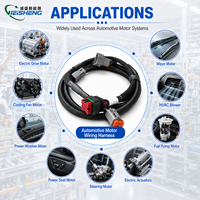 Conjunto de Cables de Arnés de Cableado Automotriz a Prueba de Agua Personalizado para Motor y Sistema de Control ECU