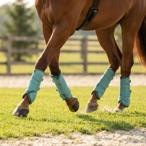 Adjustable Horse <b>Leg</b> Wraps Equestrian Protective Boots for Horse Riding Training <b>Exercise</b> and Daily Care - Product Image 2