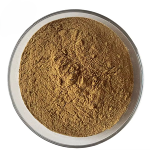 Gel de Hoja de Aloe Vera 100% Orgánico en Polvo, Grado Alimenticio, Proveedor a Granel, Textura Suave y Lisa - Product Image 6