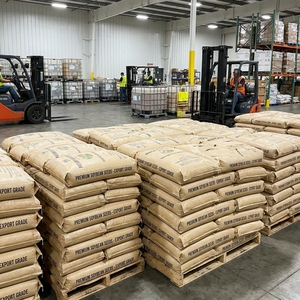Semillas de Soja de Alta Pureza, Ricas en Proteínas, Cultivo Agrícola para Procesamiento Industrial y Aplicaciones Agrícolas - Product Image 6