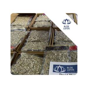 Anchois séchés les plus vendus pour la cuisine, ingrédient de poisson utilisé pour les soupes de restaurant au Vietnam. - Product Image 1