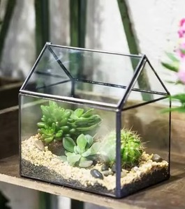 Big Glass Terrarium With Metal <b>Frame</b> <b>Large</b> Indoor Planter For Home Office Living Room And Modern Decor Styling From India - Product Image 2