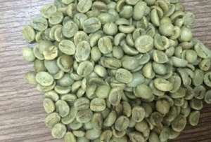 Los granos de café verde se suministran desde Bao Tram Anh Vietnam. Productos agrícolas de alta calidad al mejor precio. - Product Image 4