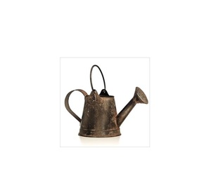 Arrosoir en métal à long bec, idéal pour arroser les plantes, les fleurs, les herbes, à l'intérieur comme à l'extérieur, pour le jardin. - Product Image 4