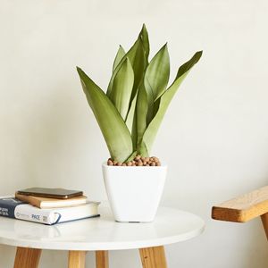 2 Pack Smart Self-Watering White <b>Square</b> Cone Planter <b>Pot</b> for Indoor and Outdoor Use - Product Image 5