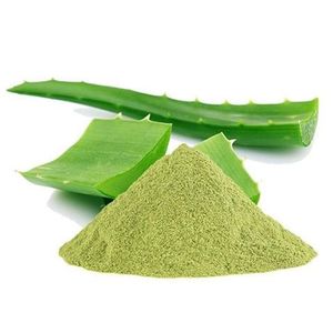 Polvo de Aloe Vera 100% Natural, Polvo Puro de Aloe Vera para Nutrición de la Piel y Productos de Belleza a Base de Hierbas, Proveedor a Granel de la India - Product Image 3