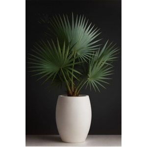 Maceta Moderna Elíptica de Fibra de Vidrio Blanca con Orificio de Drenaje, Acabado con Recubrimiento en Polvo, Ecológica, Ligera, para Interiores - Product Image 1