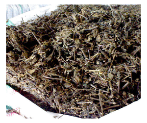 Export Quality <b>Dried</b> <b>grass</b> jelly From Vietnam <b>Dried</b> <b>grass</b> jelly for Food Processing Industry - Product Image 2