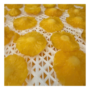 Piña Fresca Procesada en Snack Deshidratado Premium, Ideal para Marcas de Alimentos y Empresas de Importación - Product Image 1