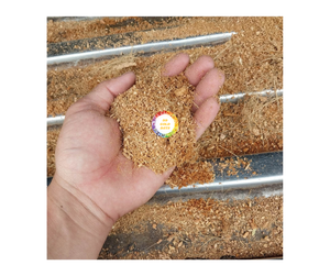 ใยมะพร้าว-บล็อกพีทโคโค่จากเวียดนาม, อีซีต่ำเหมาะสำหรับการทำสวนปลูกและใช้ในอุตสาหกรรม2025 - Product Image 6