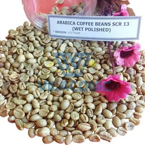 GRANOS DE CAFÉ ROBUSTA DE VIETNAM, CULTIVO 2026, SC13/16/18, LIMPIOS, SIN LAVAR, PULIDOS EN HÚMEDO, CALIDAD DE EXPORTACIÓN, CELESTE NGUYEN VILACONIC, 60 kg - Product Image 2