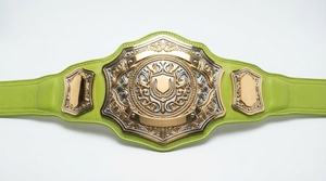 Ceinture de championnat personnalisée de qualité supérieure, plaquée or, en métal, ceinture de récompense sportive, gravure de logo personnalisée - Product Image 3