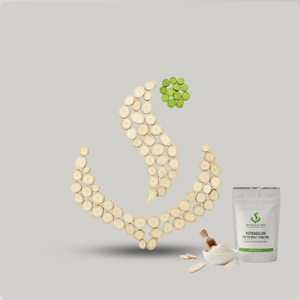 Poudre d'extrait sec d'astragale conçue pour les acheteurs professionnels gérant des portefeuilles botaniques multi-produits - Product Image 6