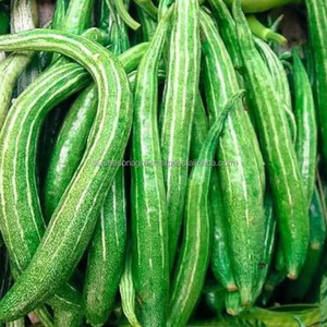 Calabaza Fresca Premium Grado A, Suministro Directo de Granja, Calidad de Exportación, Vegetal Tropical Orgánico de Bangladesh, Seis Estaciones - Product Image 3