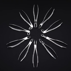 Forceps d'extraction dentaire en acier inoxydable avec poignée moletée, instrument chirurgical manuel de classe I - Product Image 4