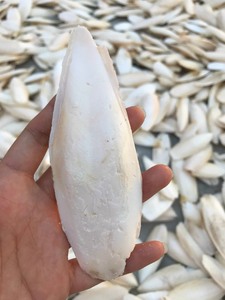 Exportación de hueso de sepia seca natural de Vietnam/Katty - Product Image 3