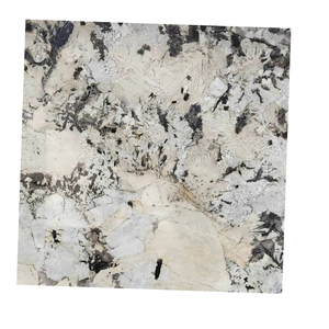 Marbre blanc de forêt, pierre naturelle polyvalente pour les murs de construction, projets commerciaux, entrées, extérieurs, chambres, salles de bain, couloirs - Product Image 1