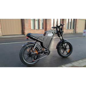Vélo électrique tout-terrain en stock UE, pneus larges 20 pouces, batterie lithium 48V 31.5Ah, moteur moyeu arrière, frein à disque, 7 vitesses - Product Image 3
