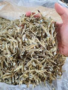 Anchois séchés au soleil naturellement, riche en protéines, exportateur vietnamien, approvisionnement en vrac, faible MOQ - Product Image 2