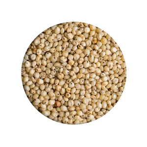 Sorghum rouge glutineux de première qualité pour la consommation humaine et animale - Product Image 1
