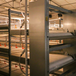 Système de cages avicoles automatisées avec alimentation, abreuvement et convoyeur à œufs centralisés - Product Image 4
