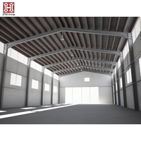 Bâtiment agricole en acier 500x100 pieds, taille standard, avec revêtement mural isolé et ignifuge, idéal pour hangar d'entretien d'avions