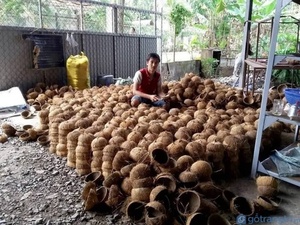 เปลือกมะพร้าวดิบเป็นมิตรกับสิ่งแวดล้อม มีโปรตีนและแป้งในตัว อายุการเก็บรักษา 3 ปี เหมาะสำหรับงานฝีมือ ของตกแต่งบ้าน และผลิตภัณฑ์ทำมือ - Product Image 6