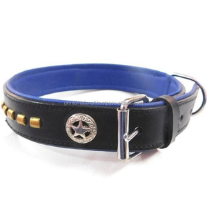 Collar de perro premium hecho a mano, cuero de grano superior con hardware pesado de latón y relleno suave de color azul - Product Image 4