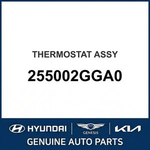 Nouveaux thermostats et boîtiers Grandeur/Azera 255002GGA0 - Product Image 1