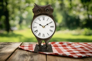 Horloge de bureau en métal en forme de hibou, mouvement à quartz, fonctionne à piles, design traditionnel, cadran blanc, chiffres romains - Product Image 6