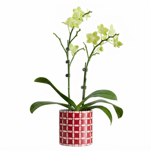 Luxury Handcrafted Bone Inlay Flower <b>Vase</b> Floral <b>Mosaic</b> Design Tabletop Decorative Pot For Living Room Hotel Office Decor <b>Vase</b> - Product Image 3